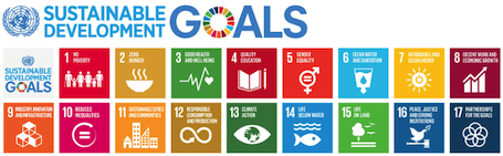 SDGs
