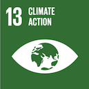 SDG13